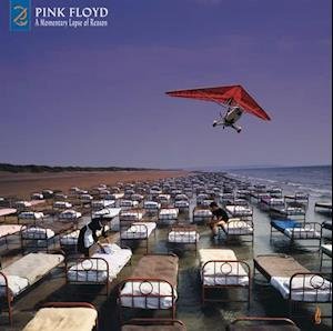 Vinyl Pink Floyd - A MOMENTARY LAPSE OF REASON