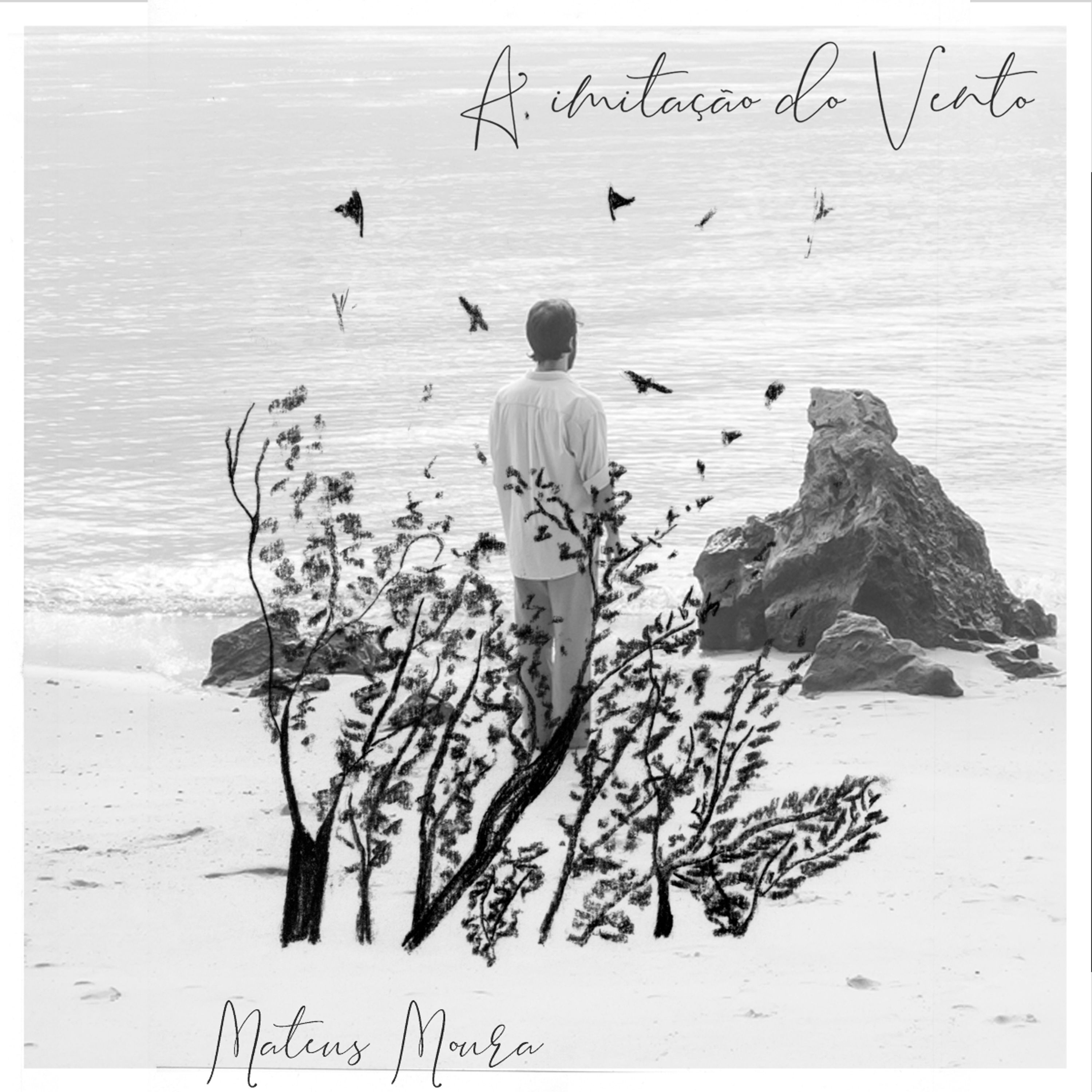 Vinyl - A IMITACAO DO VENTO