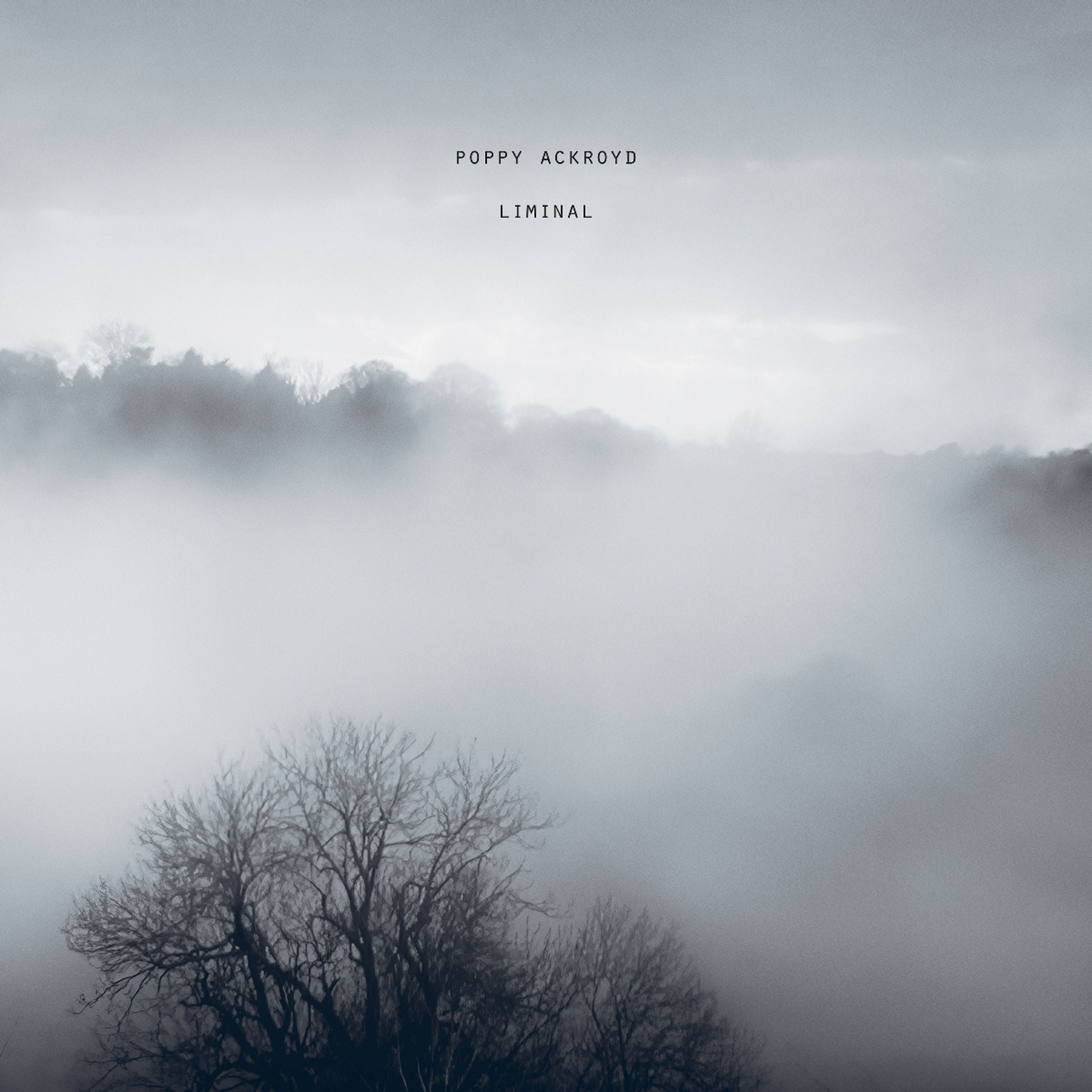 Vinyl Poppy Ackroyd - LIMINAL
