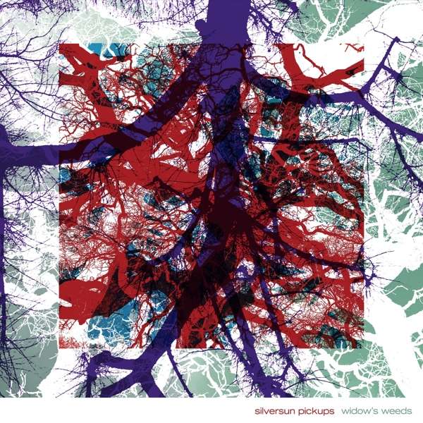 CD Silversun Pickups - WIDOW'S WEEDS