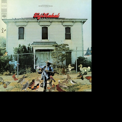 Vinyl Taj Mahal - Taj Mahal