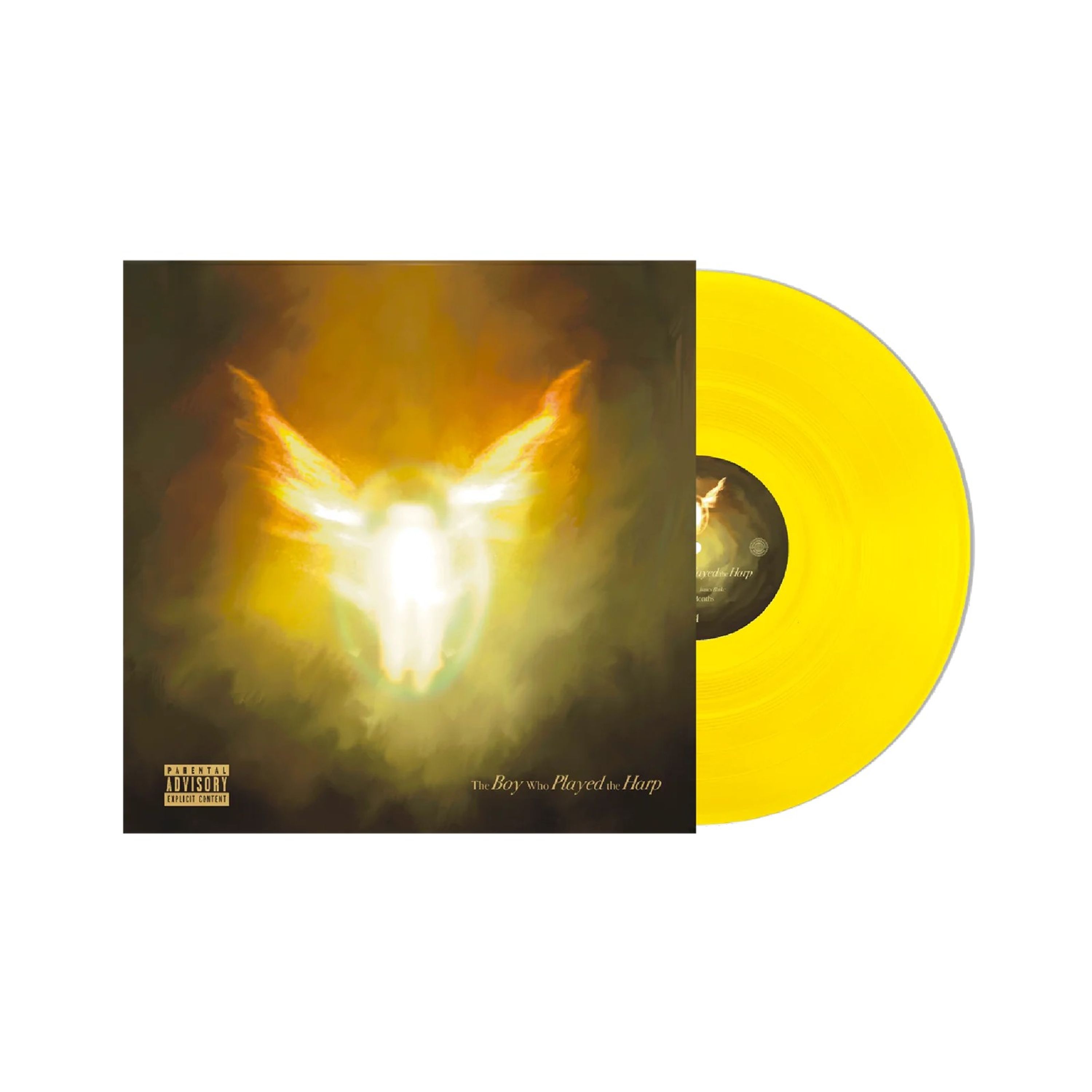 Vinyl Dave - THE BOY WHO PLAYED THE ...