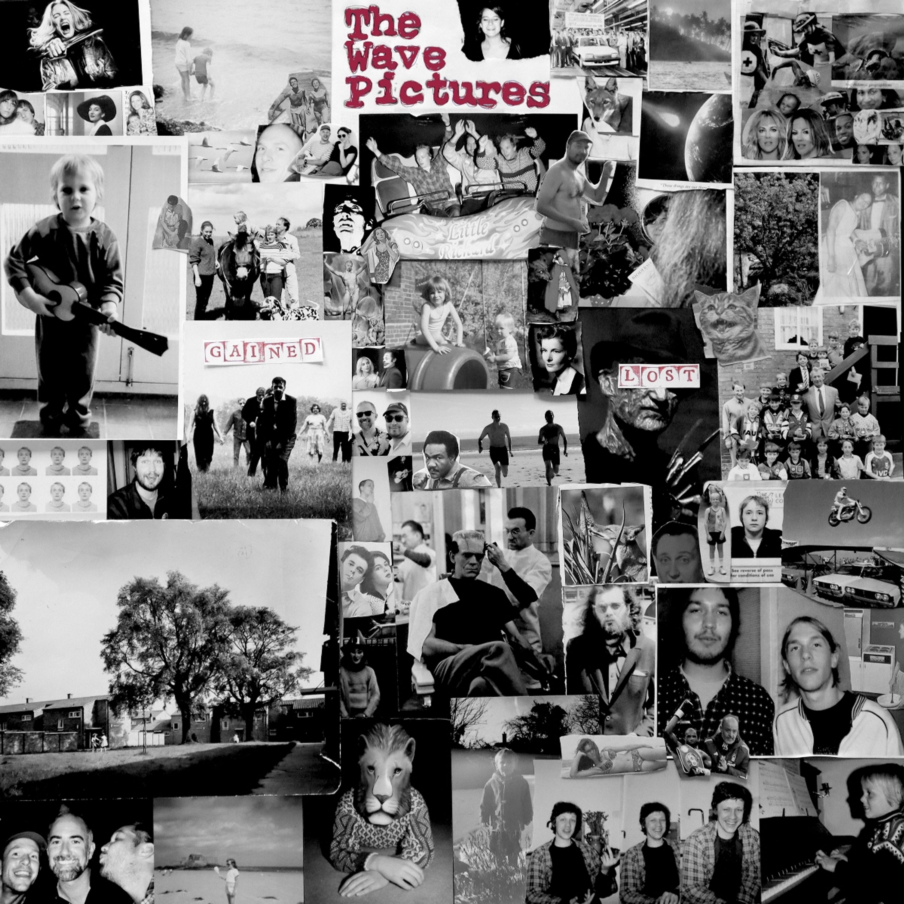 Vinyl The Wave Pictures - GAINED/LOST