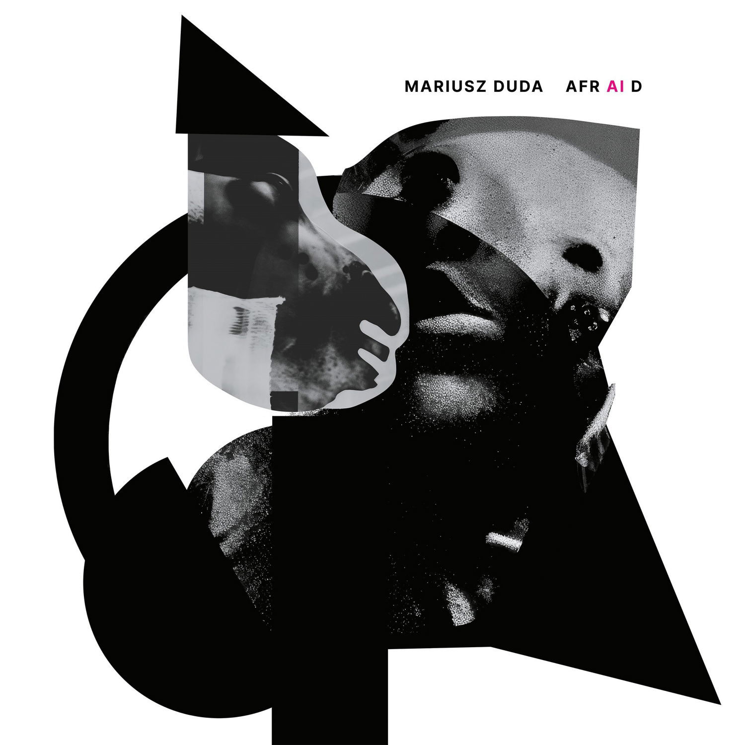 Vinyl Mariusz Duda - AFR AI D