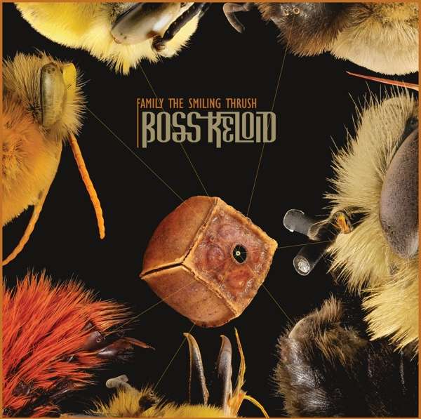 CD Boss Keloid - FAMILY THE SMILING THRUSH