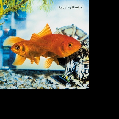 Vinyl Robbing Banks - THIS & THAT -10"-
