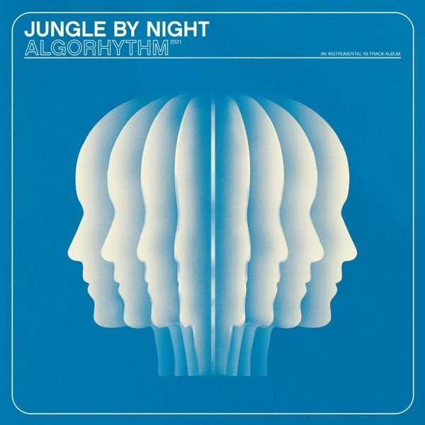 Vinyl Jungle by Night - ALGORHYTHM