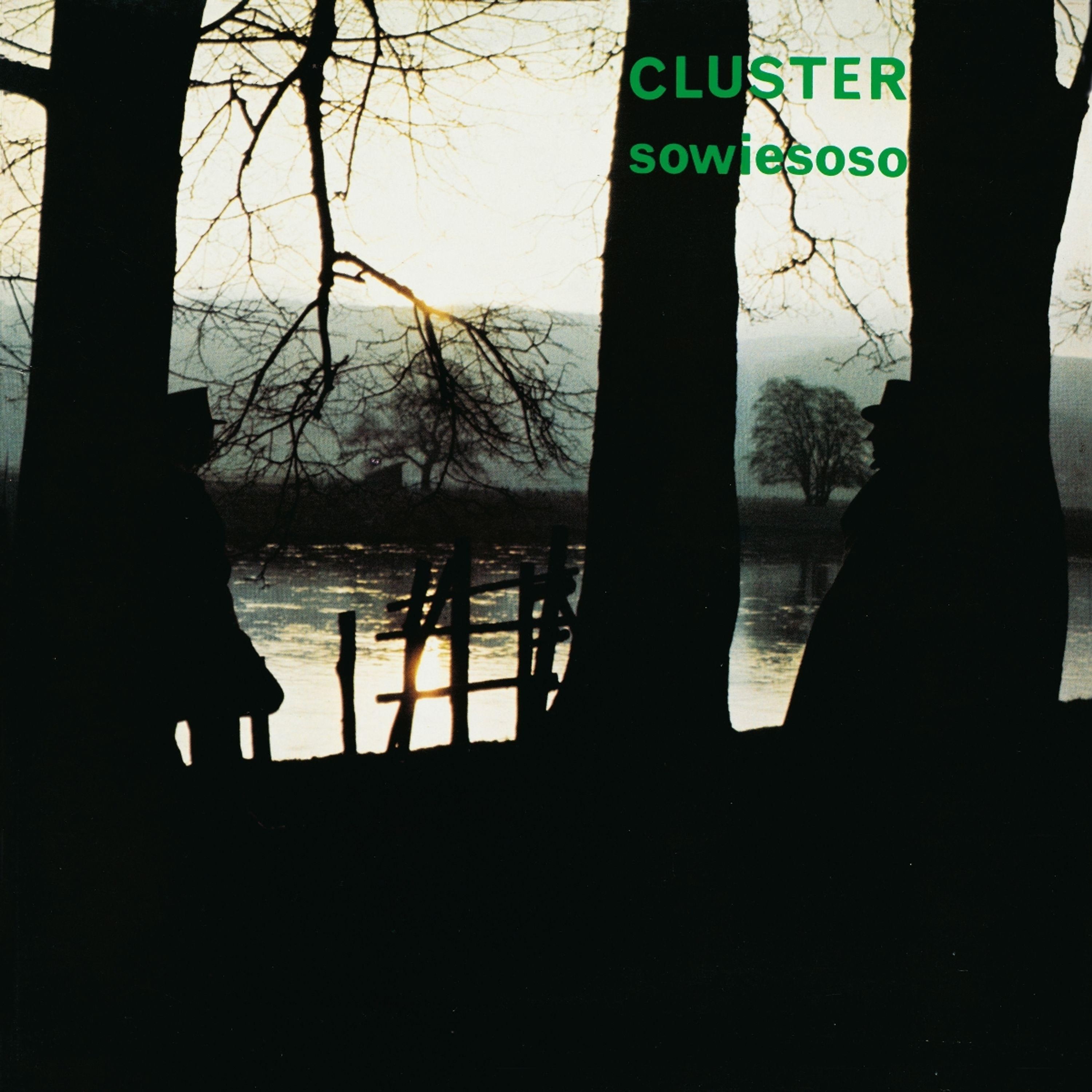 Vinyl Cluster - SOWIESO (50TH ANNIVERS...