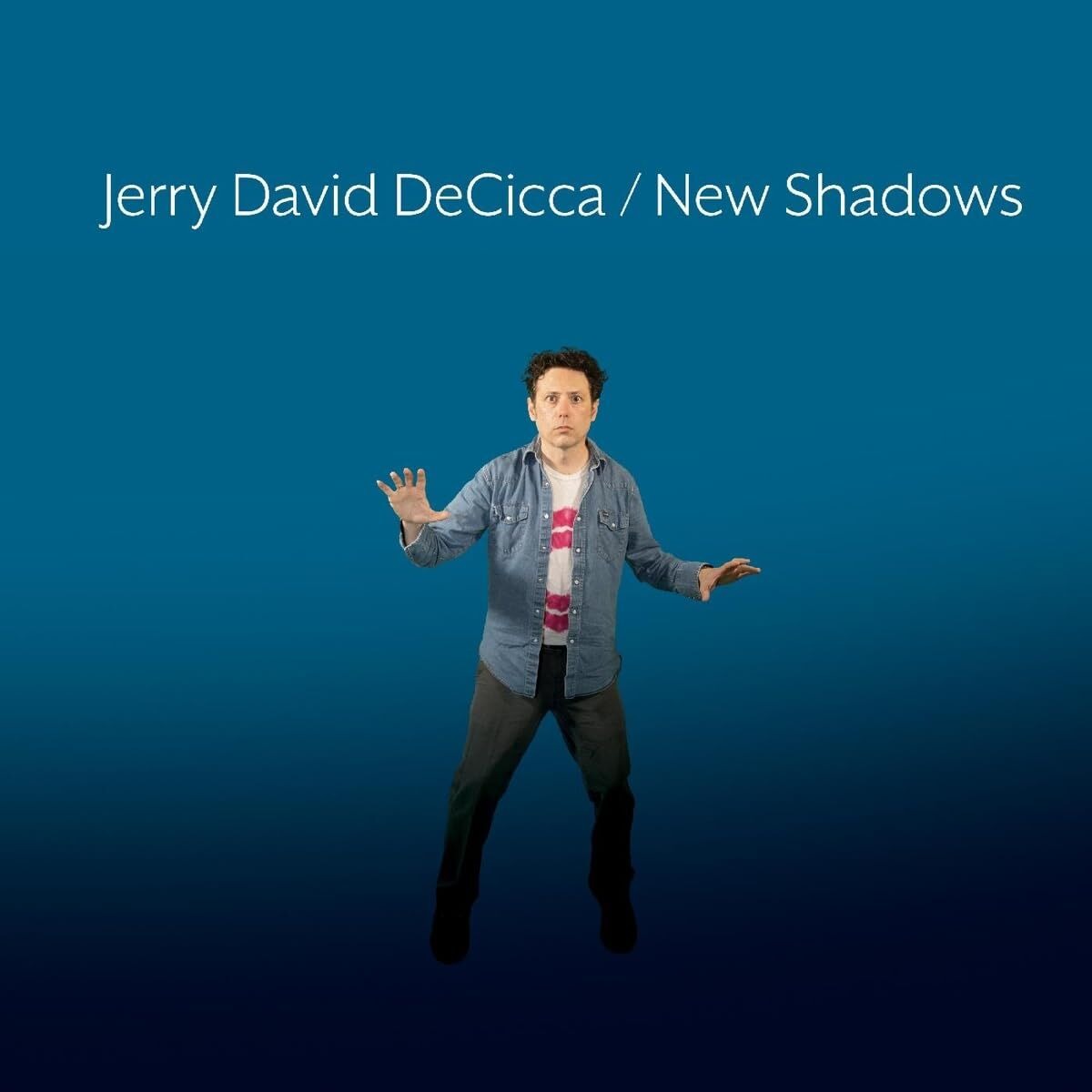 Vinyl Jerry David DeCicca - NEW SHADOWS