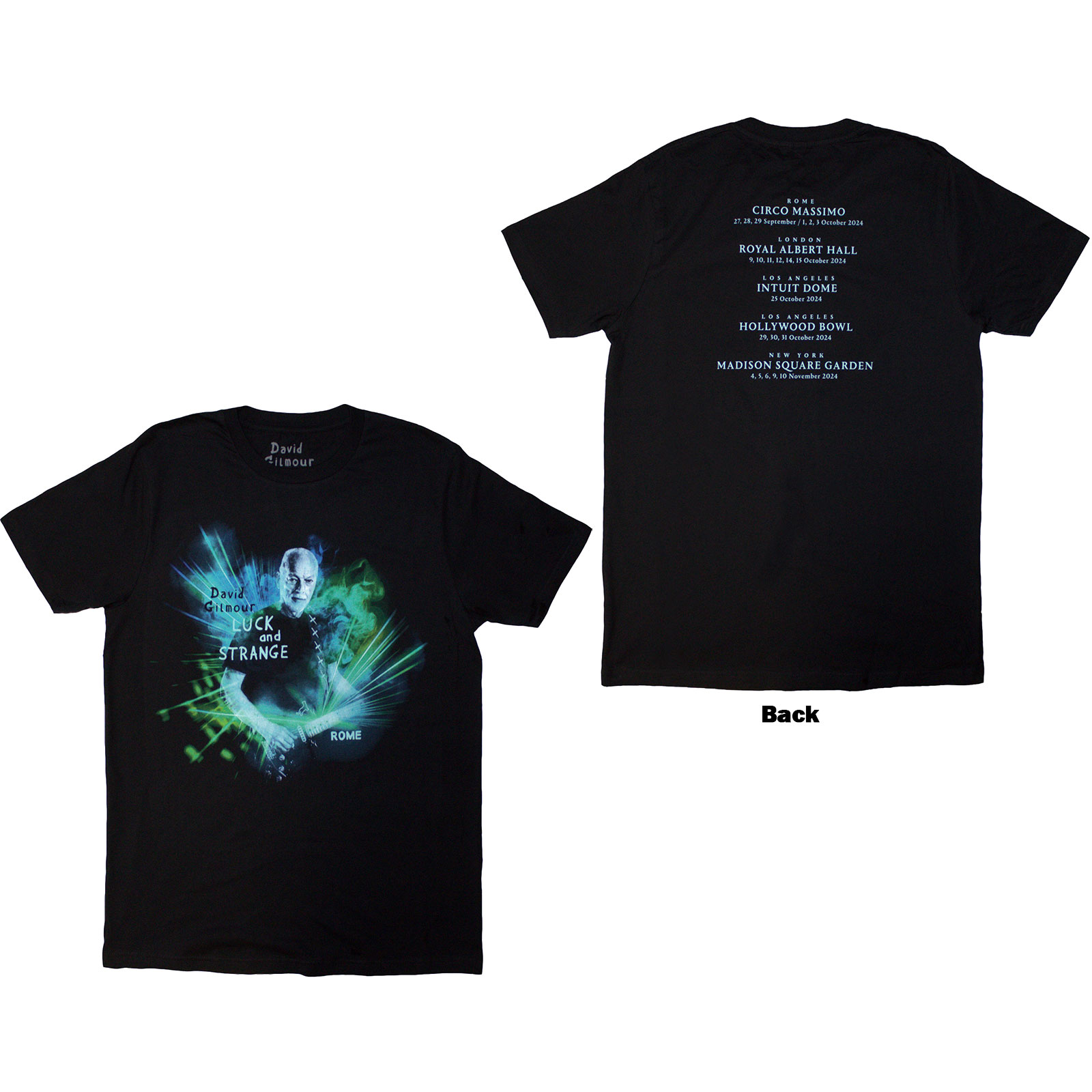 Tričko David Gilmour - Luck & Strange Rome, Unisex,Čierna,M