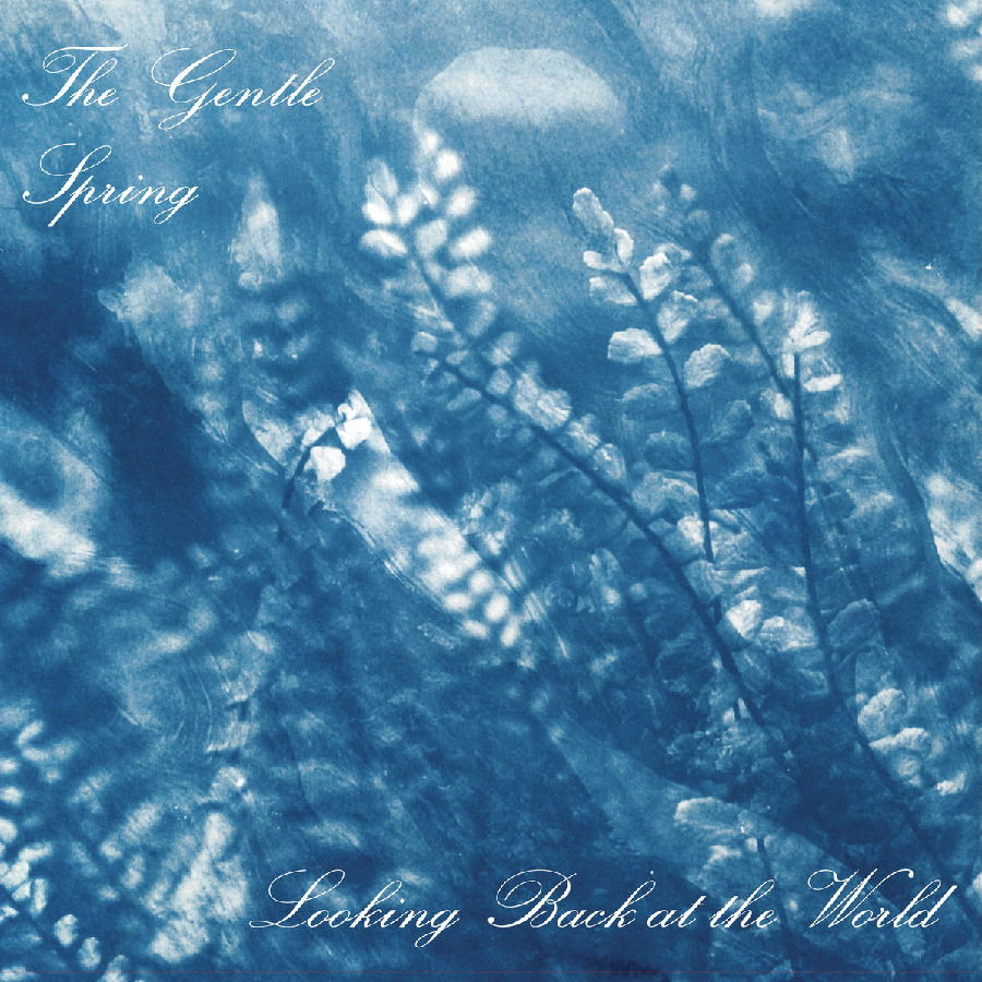 Vinyl Gentle Spring - LOOKING BACK AT THE WORLD