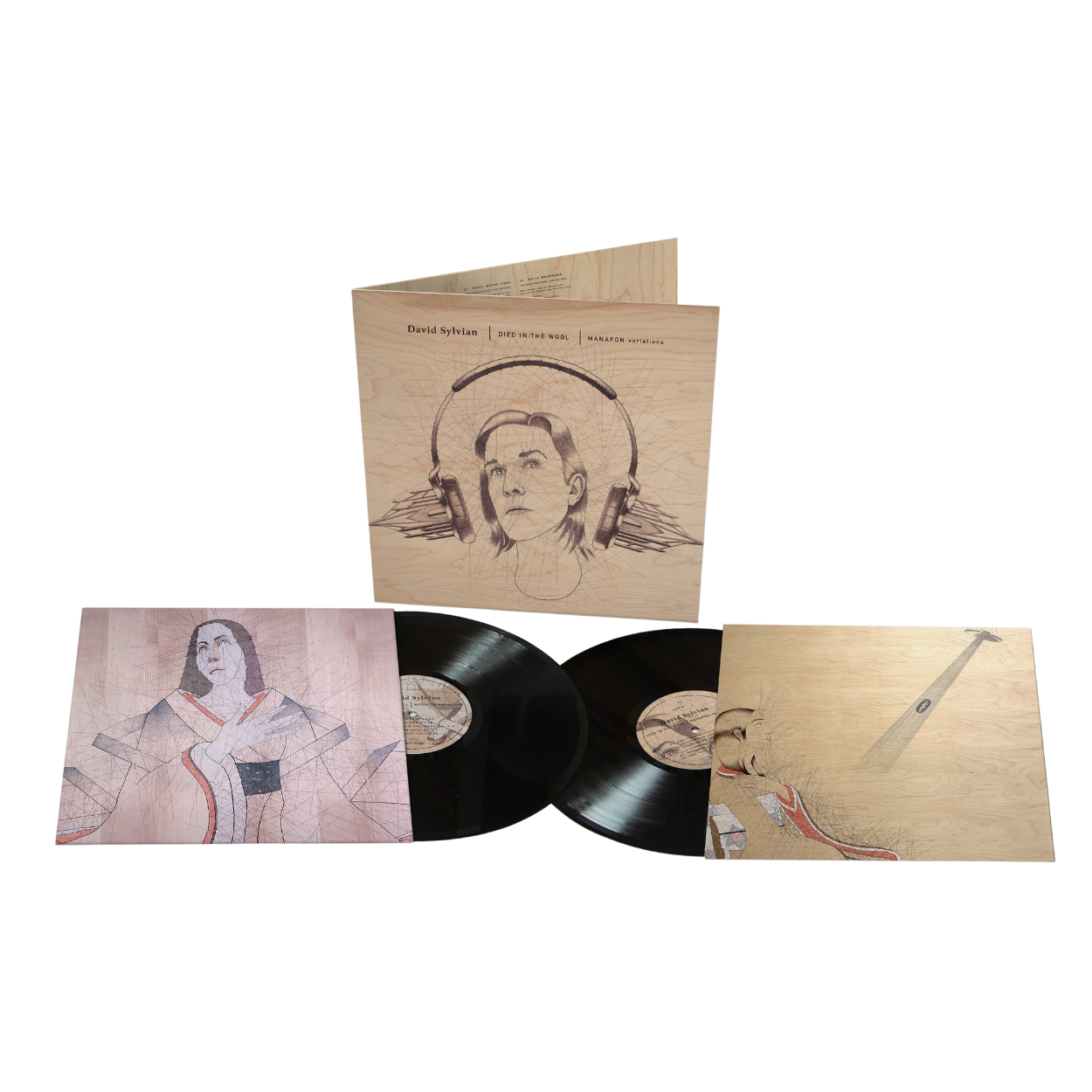 Vinyl David Sylvian - Died In The Wool - Manafon Variations