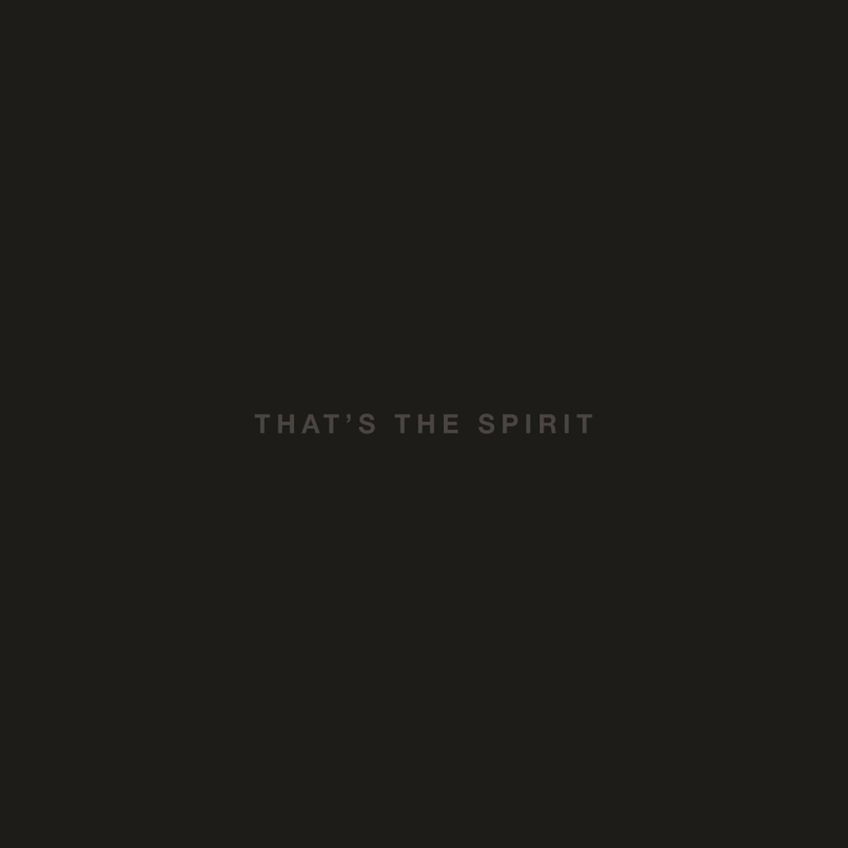 Vinyl Bring me the horizon - That's the Spirit