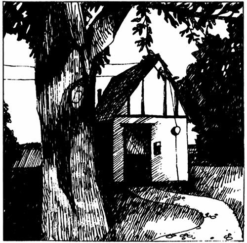 Vinyl Naomi Lewis - COTTAGE SONGS