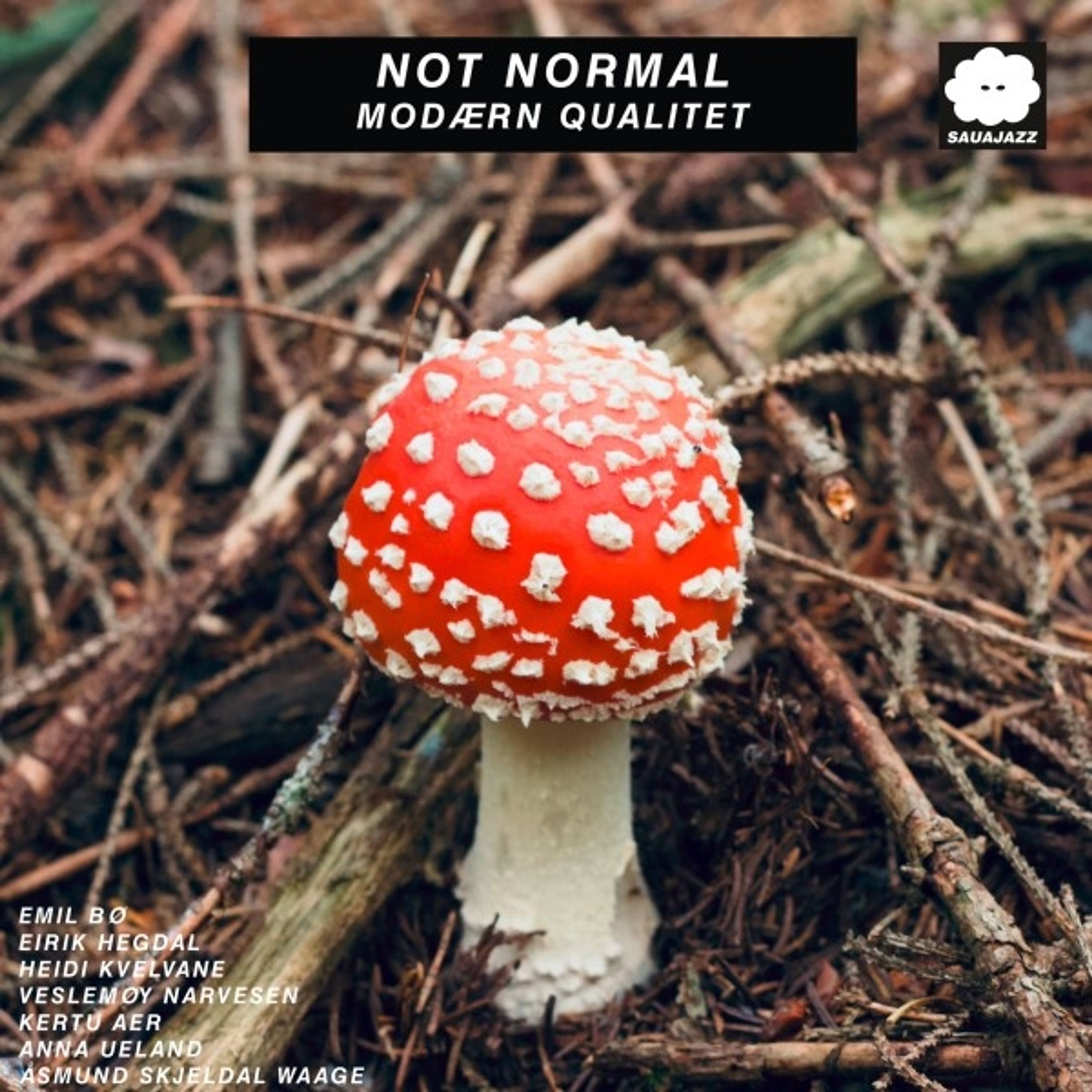 CD Not Normal - MODAERN QUALITET