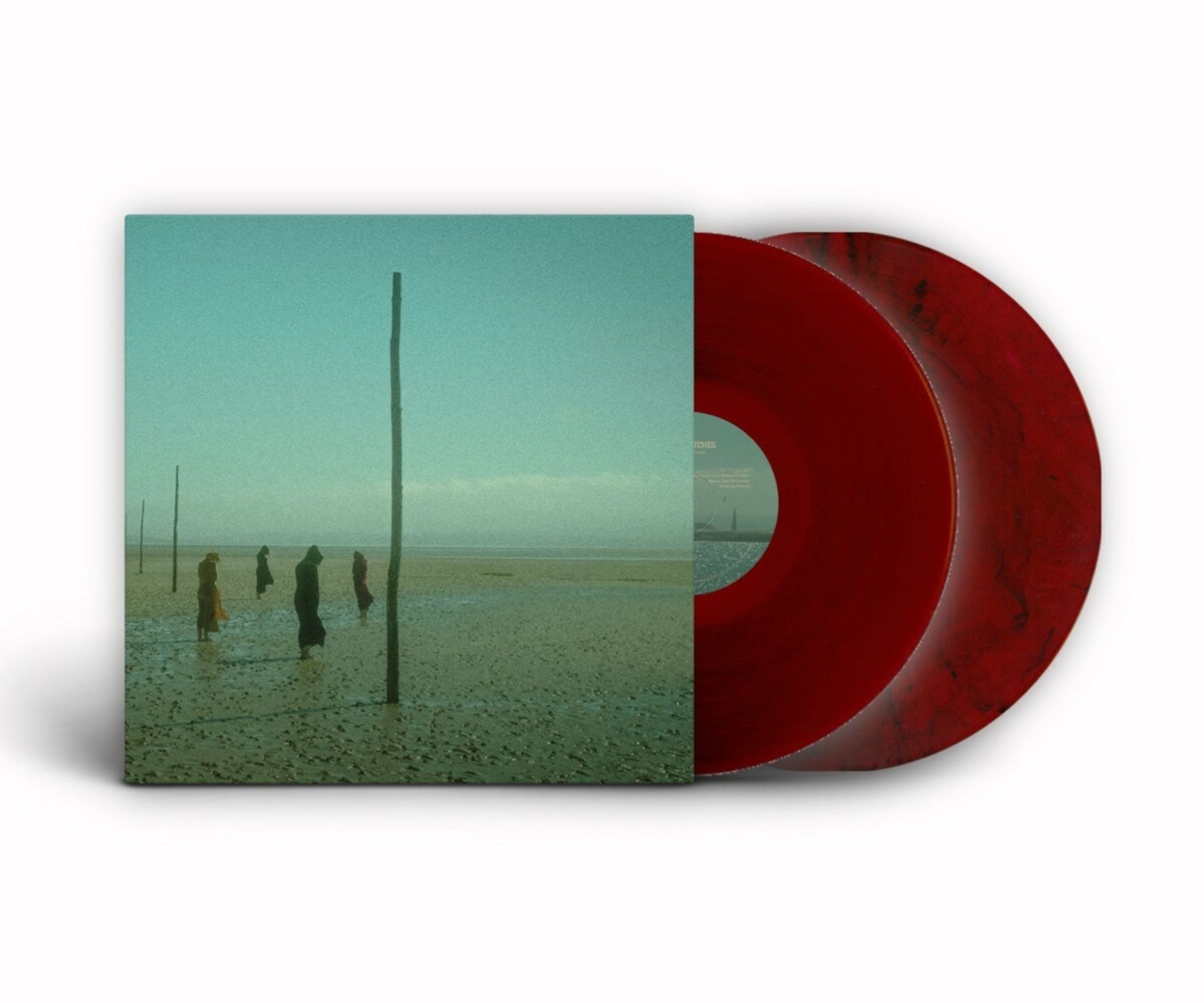 Vinyl Devil's Witches - IN ALL HER FORMS