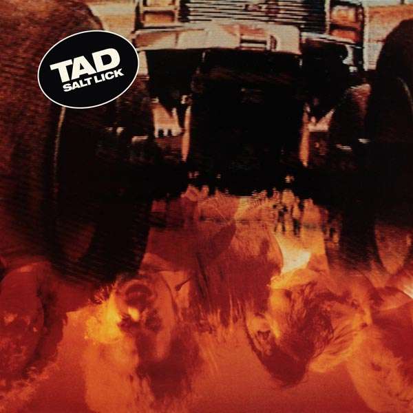 Vinyl Tad - TAD - SALT LICK