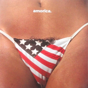 Vinyl The Black Crowes - AMORICA.