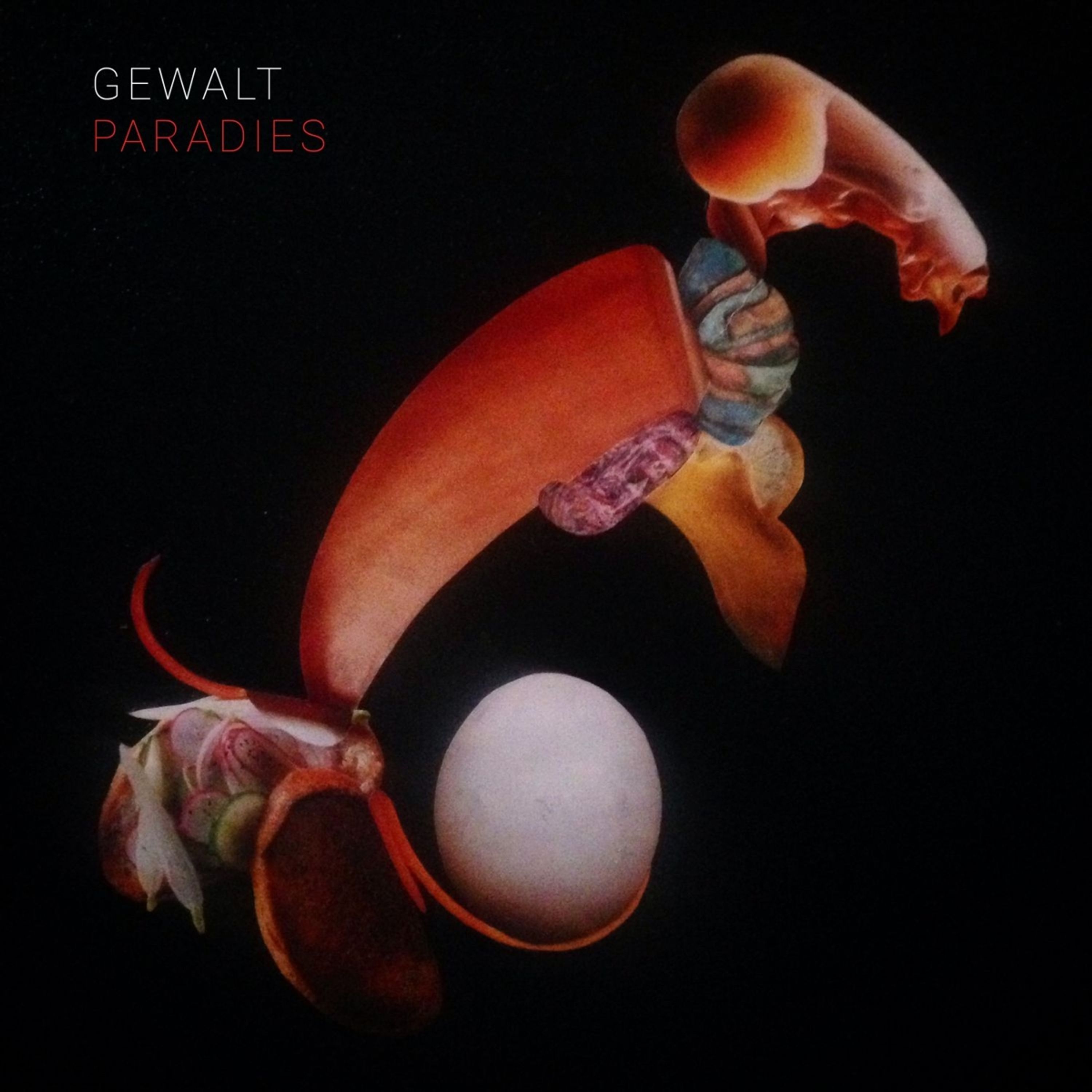 Vinyl GEWALT - PARADIES