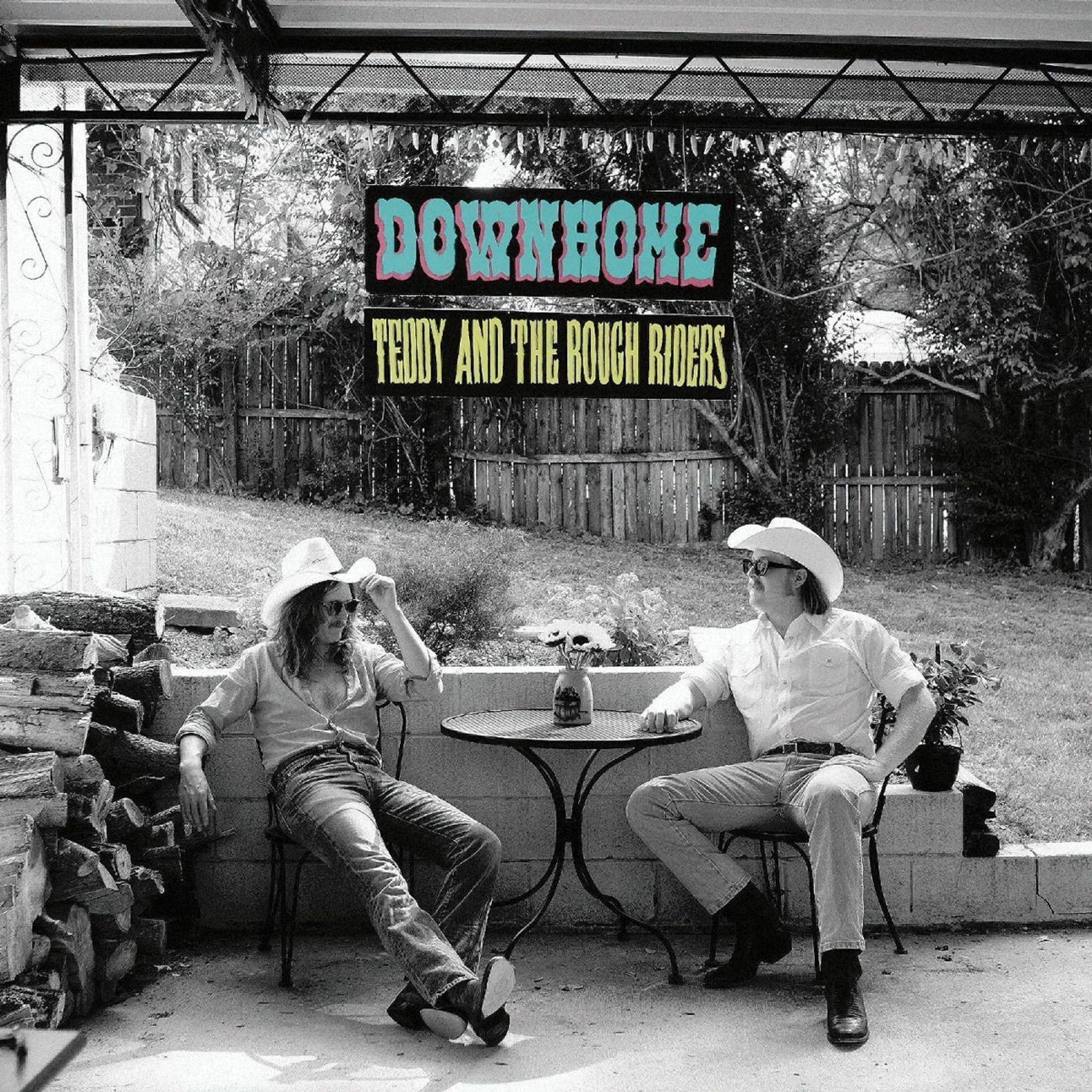 Vinyl Teddy and the Rough Riders - DOWN HOME