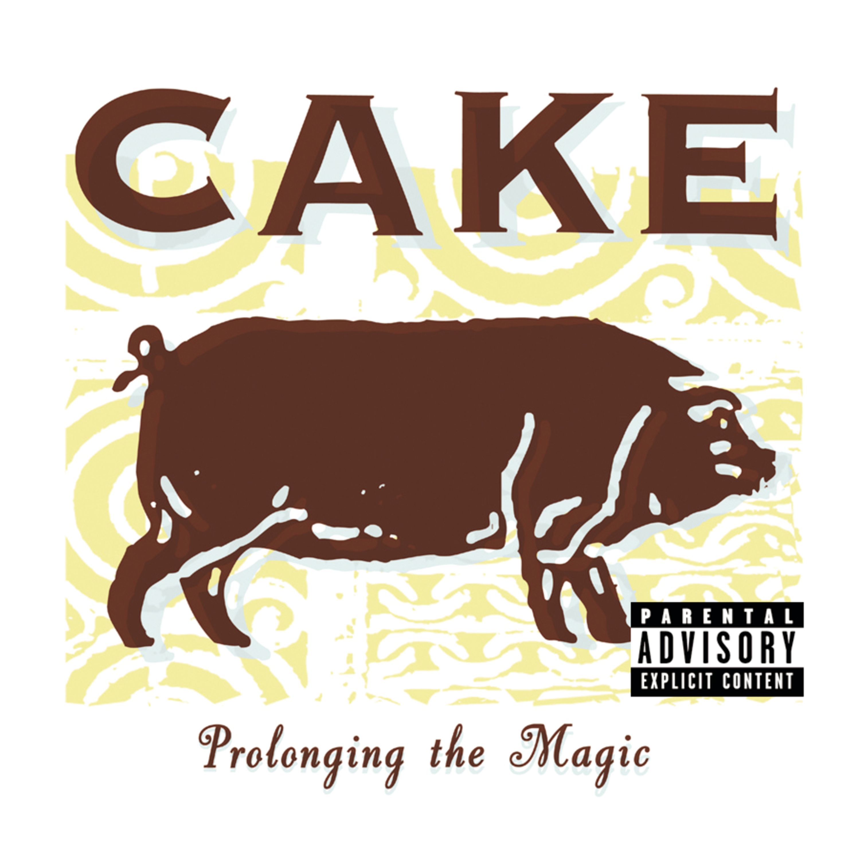 CD Cake - PROLONGING THE MAGIC