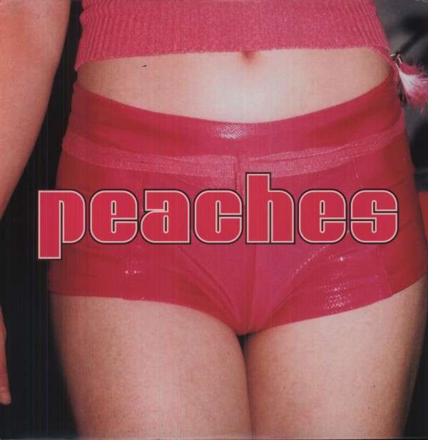 Vinyl Peaches - TEACHES OF PEACHES