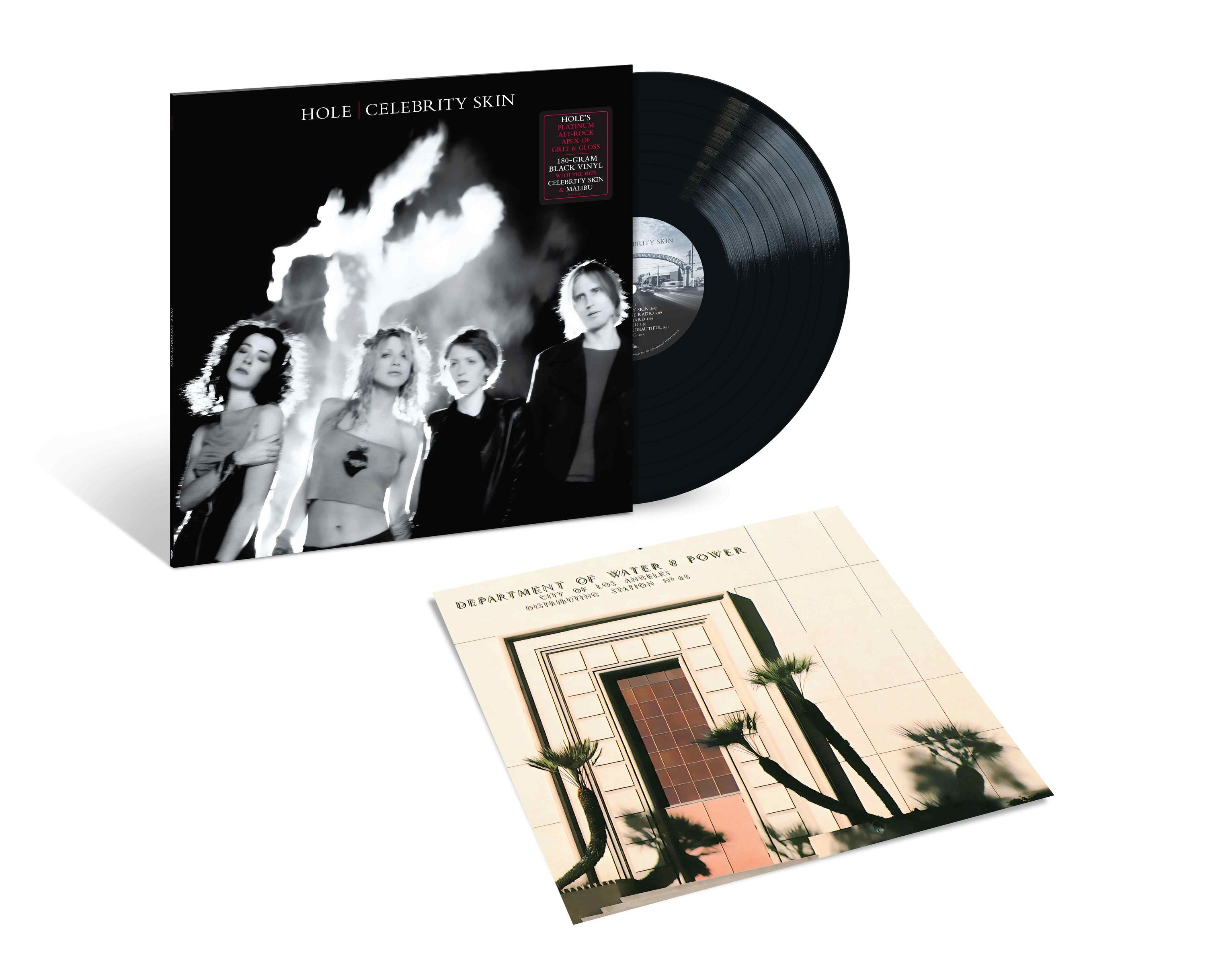 Vinyl Hole - CELEBRITY SKIN