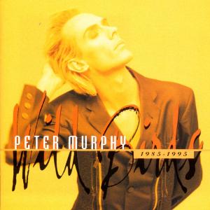 CD Peter Murphy - WILD BIRDS 1985-1995