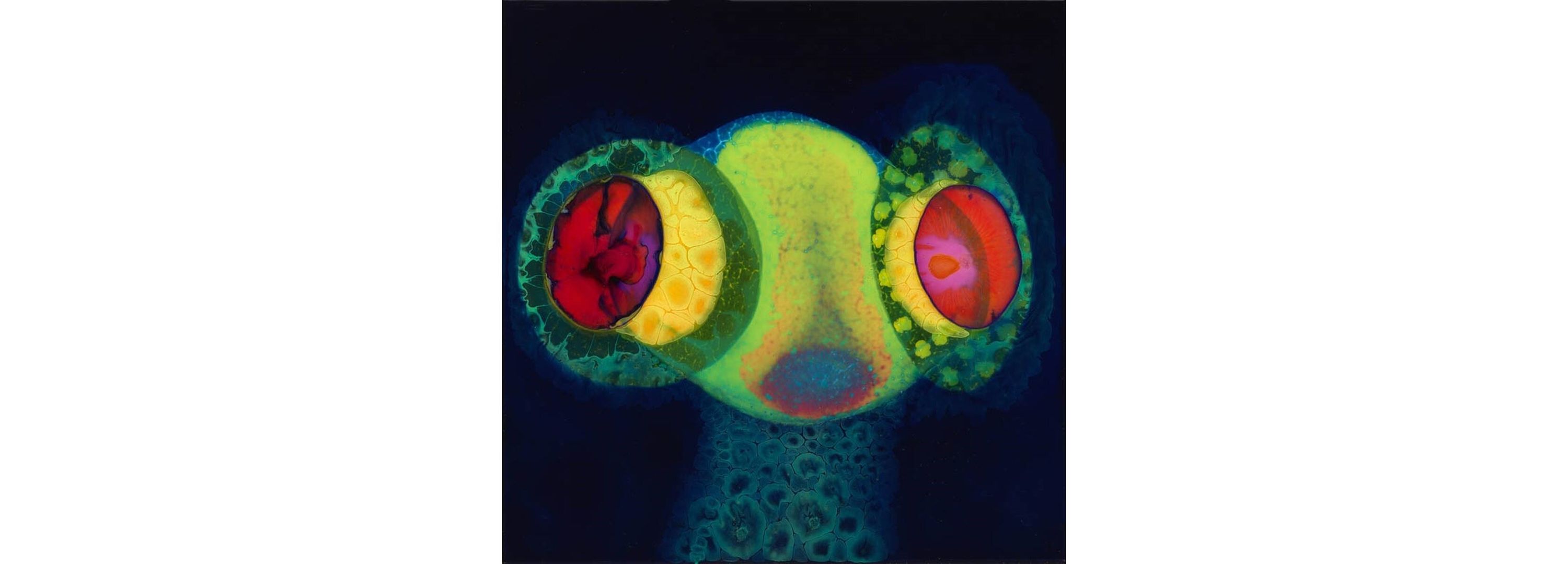 Vinyl Osees - OSEES - SORCS 80