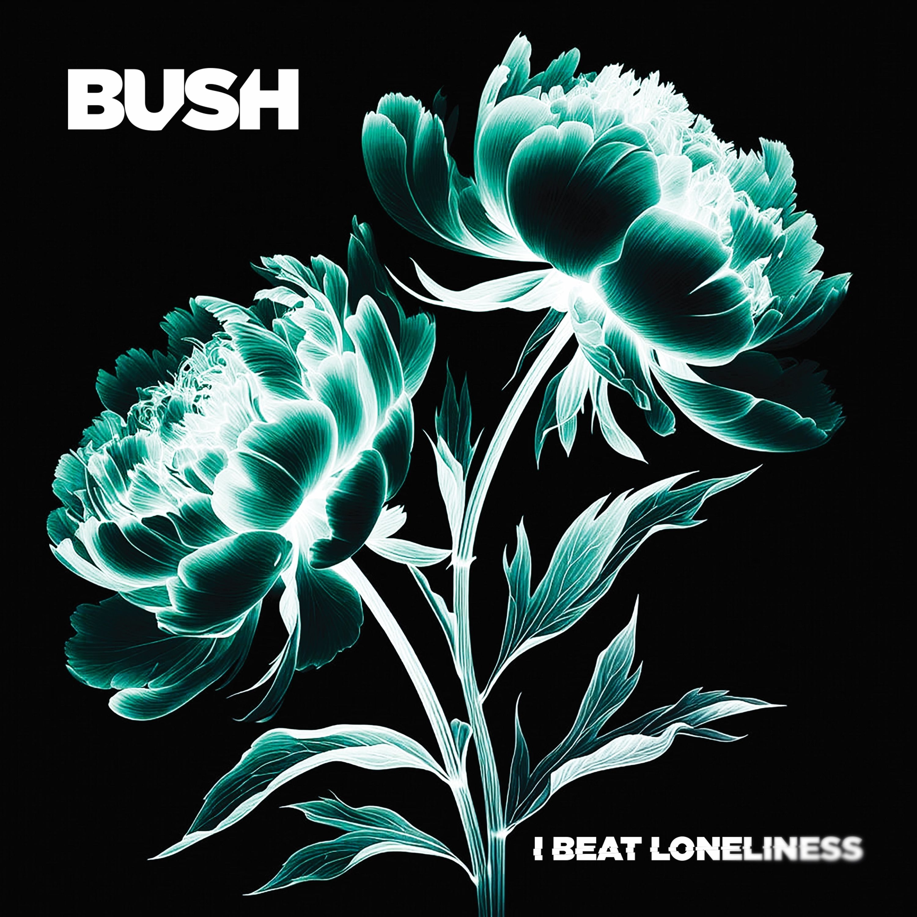 CD Bush - I BEAT LONELINESS