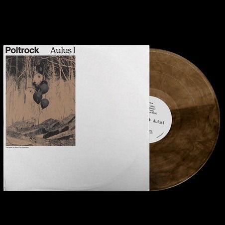 Vinyl Poltrock - AULUS I