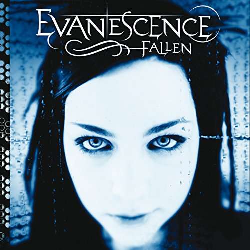 Vinyl Evanescence - FALLEN