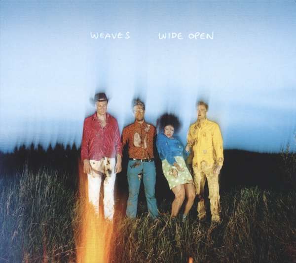 Vinyl Weaves - WIDE OPEN