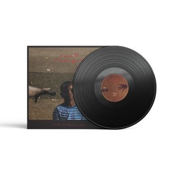 Vinyl Michael Kiwanuka - Small Changes