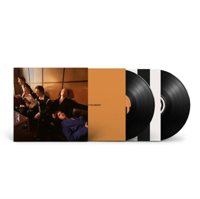 Vinyl Giant Rooks - HOW HAVE YOU BEEN?