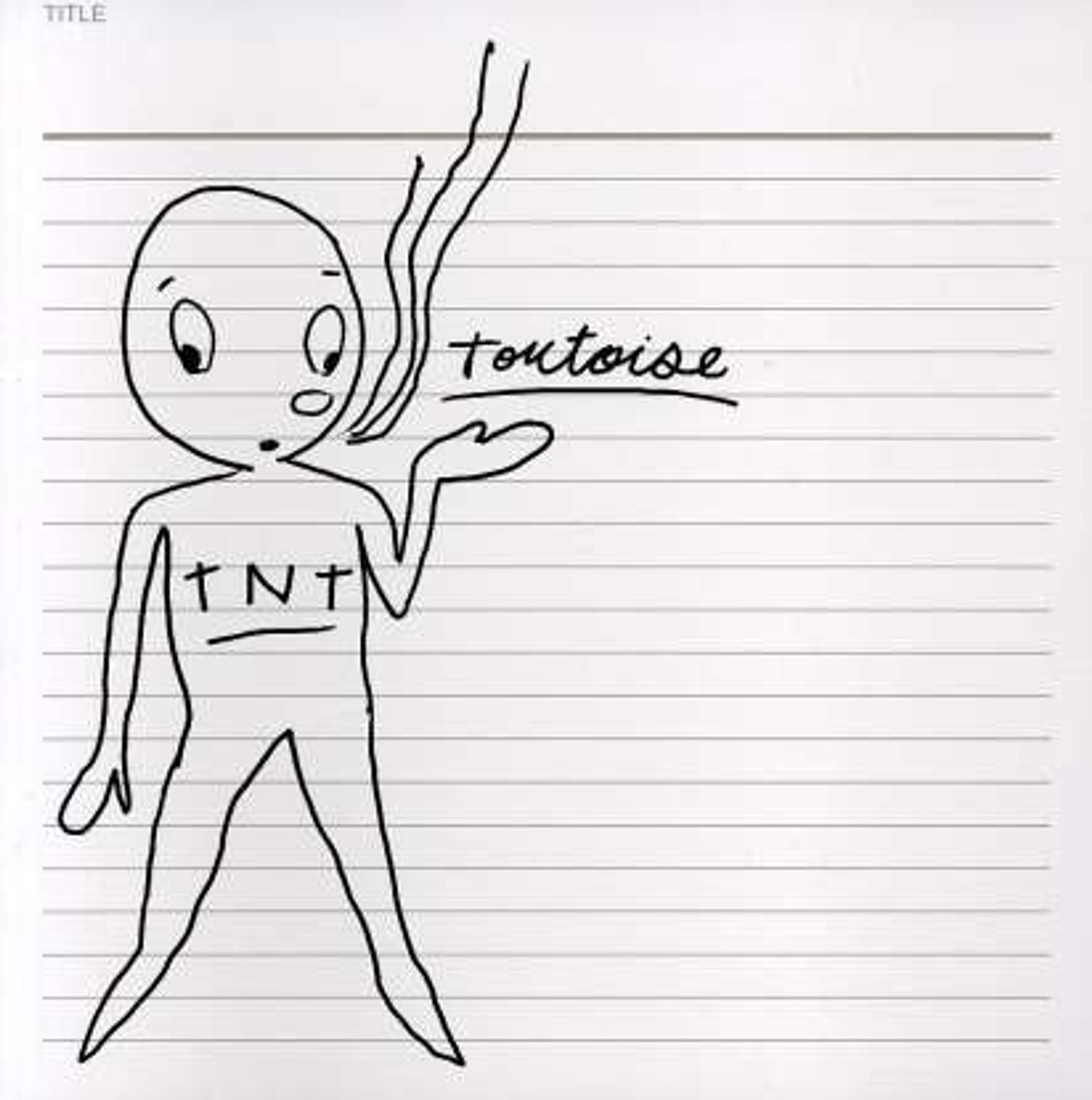 Vinyl Tortoise - TNT (CLEAR & BLACK & BLUE)