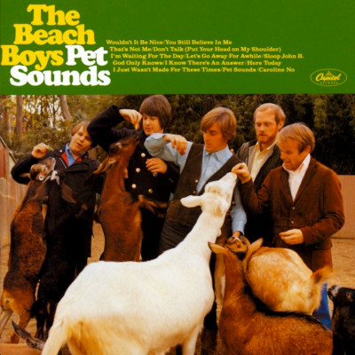 Vinyl The Beach Boys - PET SOUNDS/STEREO LP