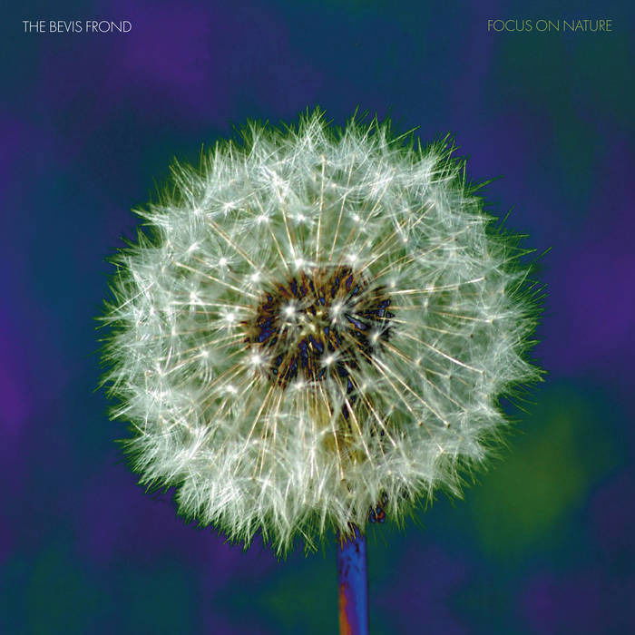 CD The Bevis Frond - FOCUS ON NATURE