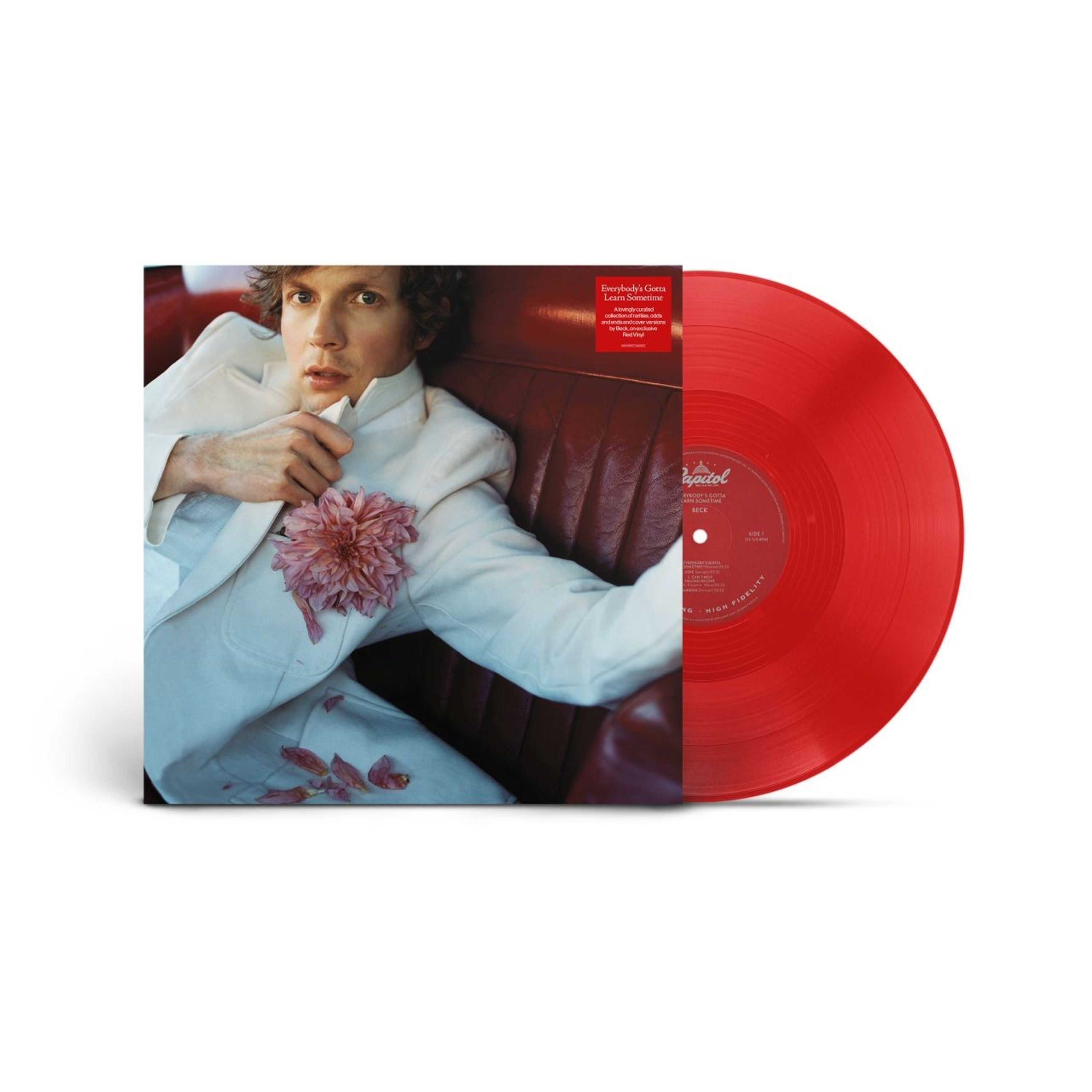 Vinyl Beck - EVERYBODY S GOTTA LEARN SO