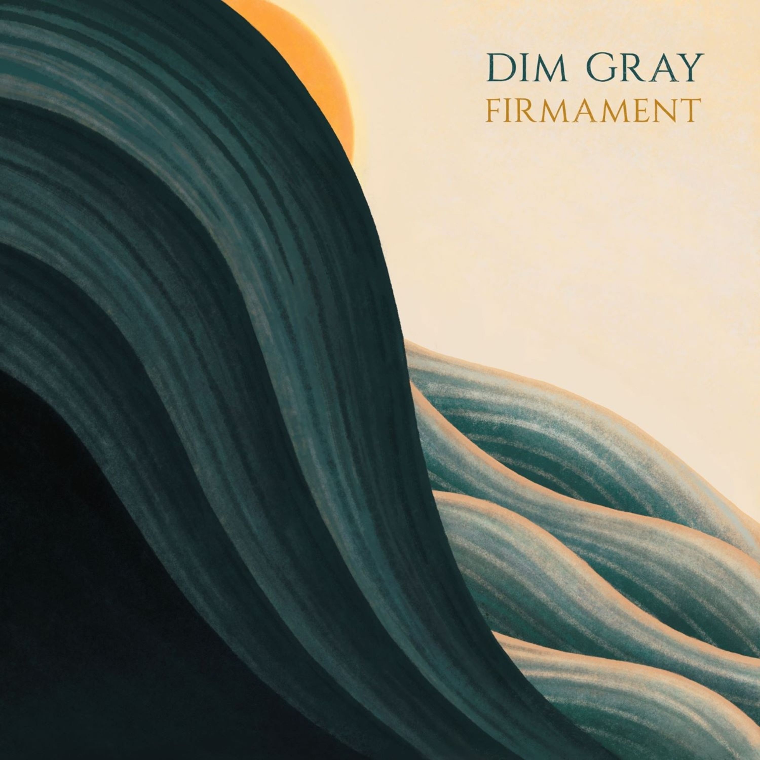 Vinyl Dim Gray - FIRMAMENT