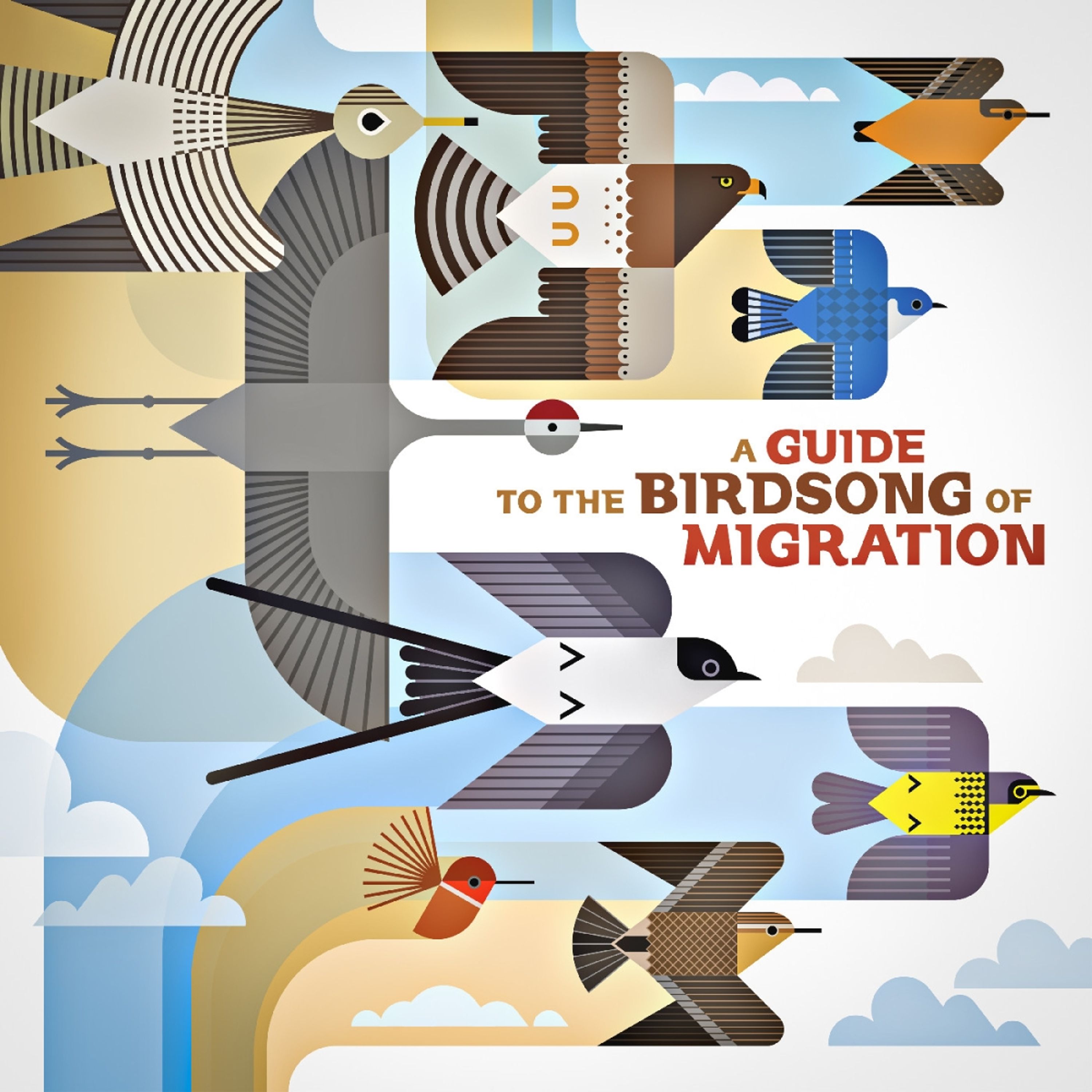 Vinyl Various Artists - A GUIDE TO THE BIRDSONG OF MIGRATION
