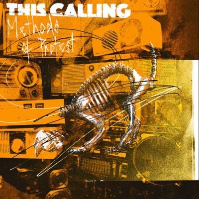 Vinyl The Calling - Methods Of Protest