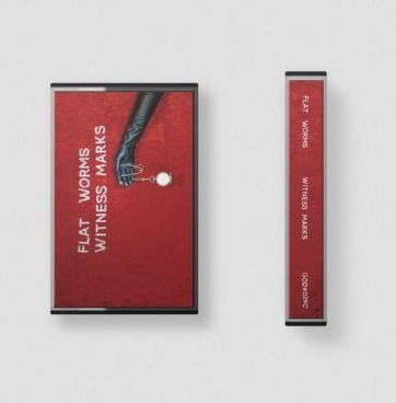Vinyl Flat Worms - WITNESS MARKS