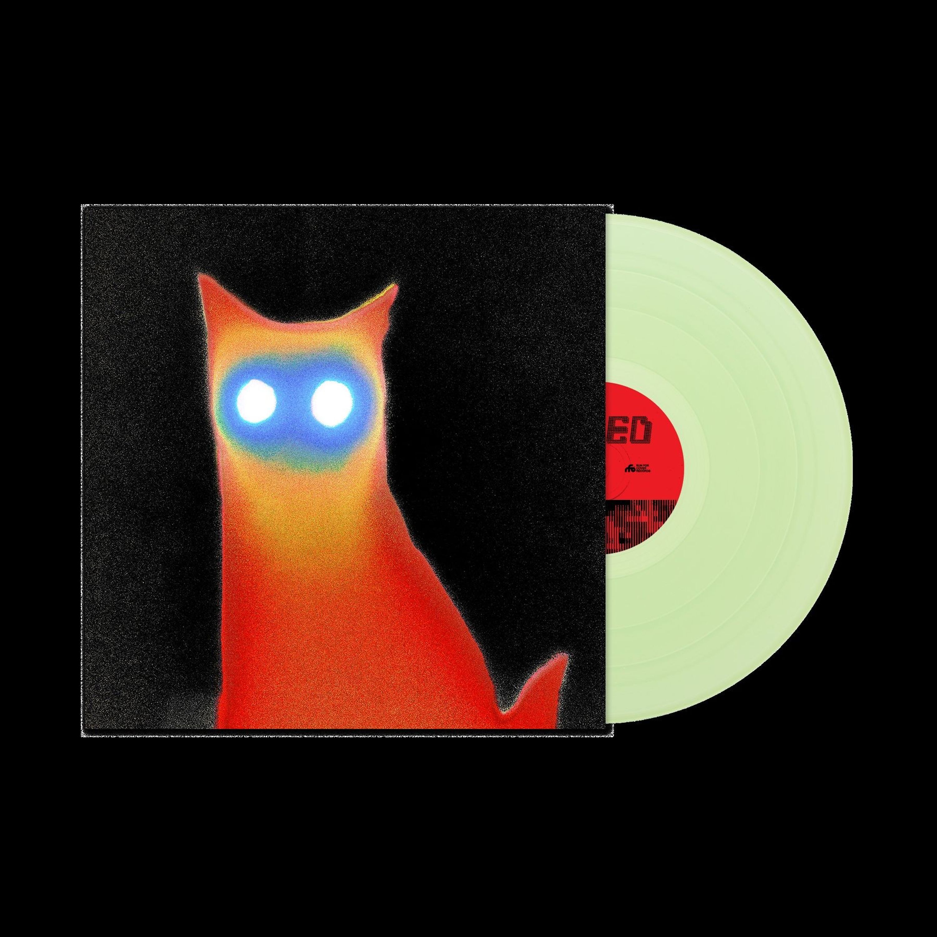 Vinyl Basement - WIRED