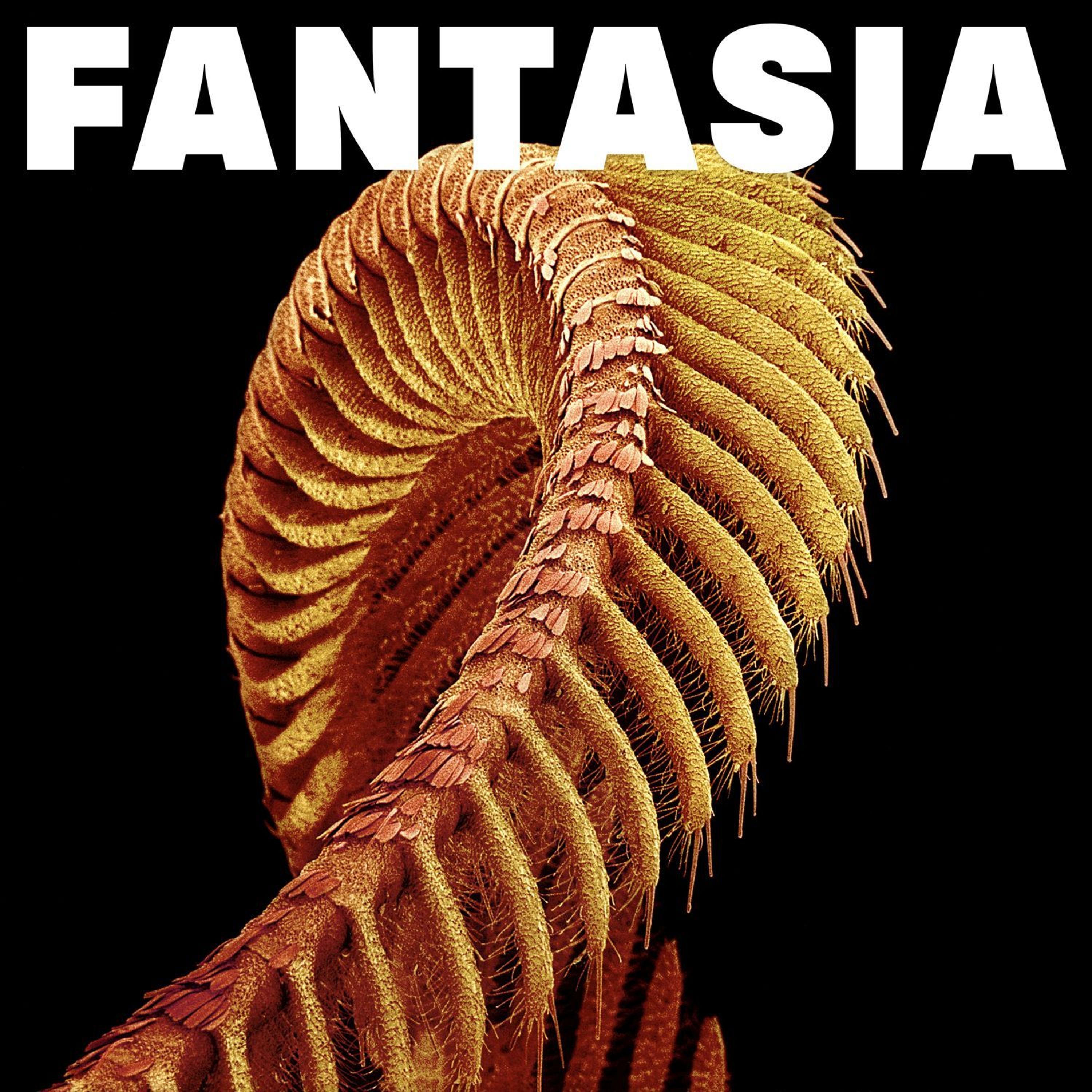 CD Slift - FANTASIA