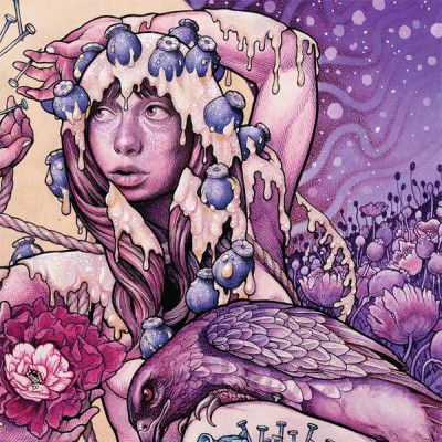 Vinyl Baroness - TRY TO DISAPPEAR -12'' MAXI SINGLE  PICTURE DISC