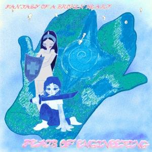 Vinyl Fantasy of a Broken Heart - FEATS OF ENGINEERING