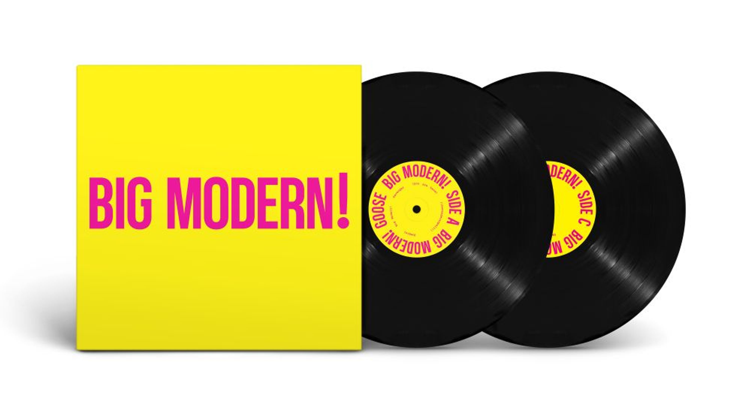 Vinyl Goose - BIG MODERN!