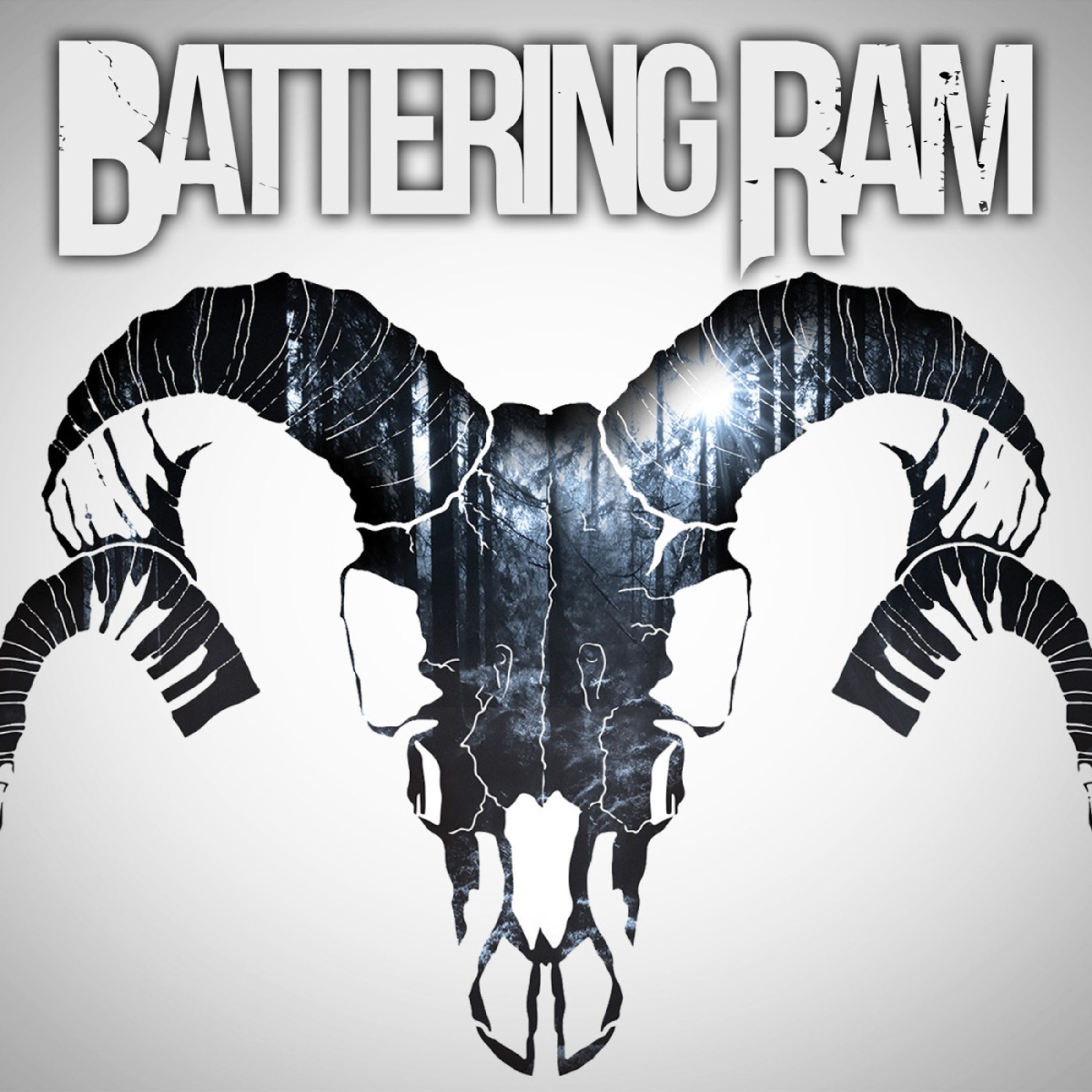 CD Battering Ram - BATTERING RAM