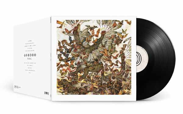 Vinyl Conor Oberst - Toil